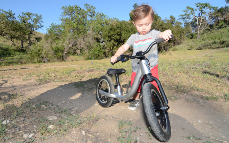 Bicycle without discount pedals for toddlers